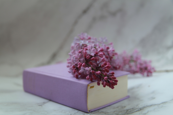 Real-Time Product Photography